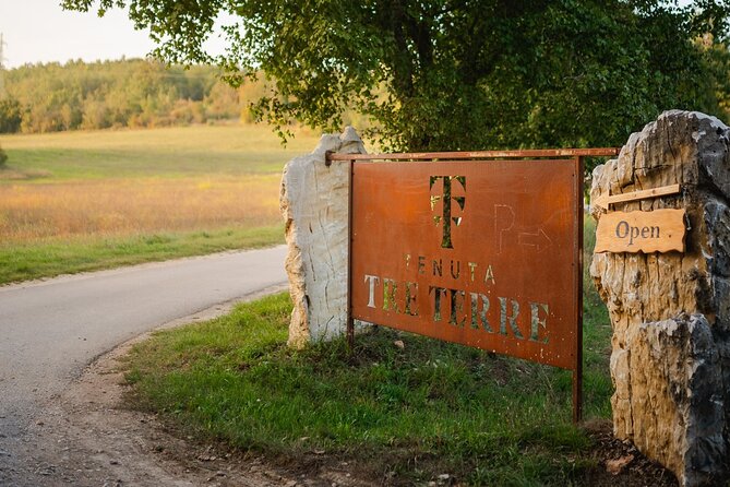 Taste of Istria - wine, brandy, vinegar, local food - How the guides shape the experience