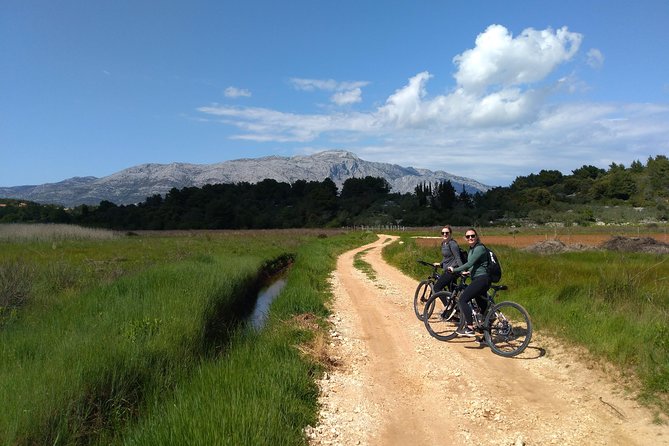 Taste of Korcula by Bike Tour | Korcula Wine & Food Tasting - Honey, Bees, and the Island’s Fragrant Plants