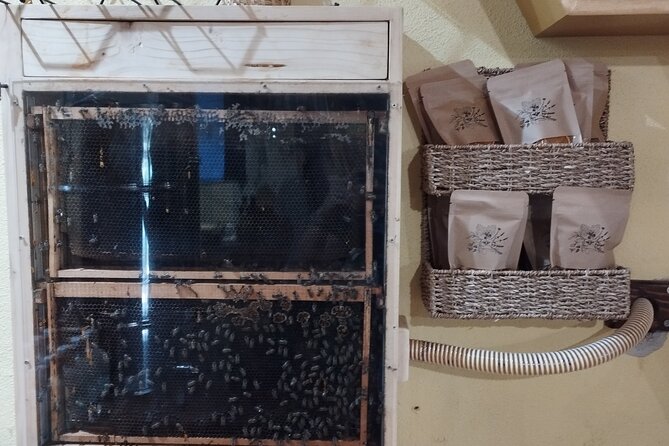 Taste of Korcula Tour | Korcula Wine & Food Tasting - Honey, island botanicals, and a look at beekeeping