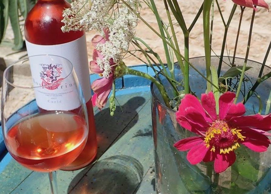 The Best of Hvar in a Day with Wine tasting and Local Dinner - How the small group changes the day