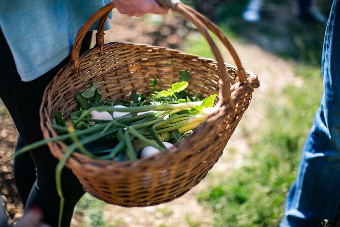 Traditional Cooking Class in Dubrovnik Countryside - The four-course meal and homemade drinks