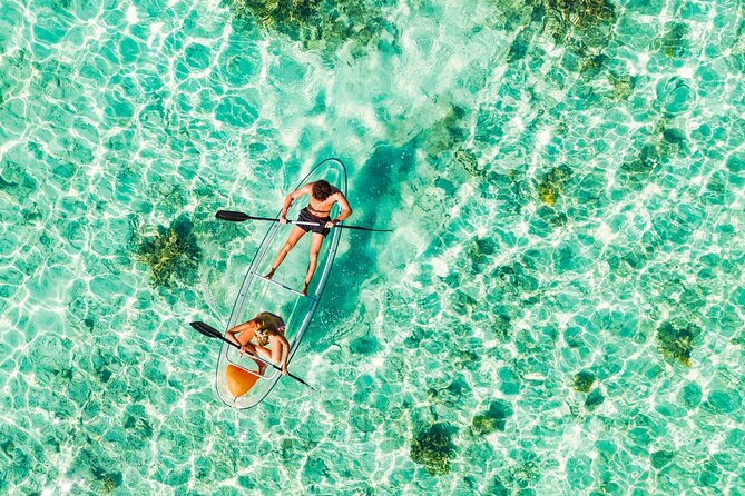 TRANSPARENT KAYAKING or SUP-ing AROUND ISLANDS - Choosing between a transparent kayak, standard kayak, and SUP