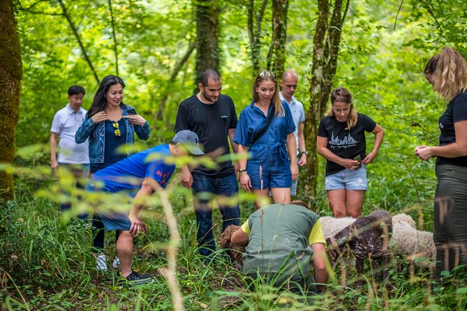Truffle hunting & cooking tour - Day hunt, night hunt, and seasonal expectations