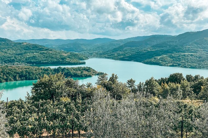 Truffle hunting & cooking tour - Practical details that make the day easier