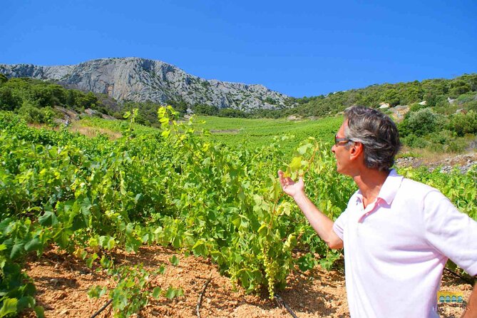Twice the Wine - Two wineries half day tour, with delicacies - Stop one: Dubokovic Wine in Jelsa