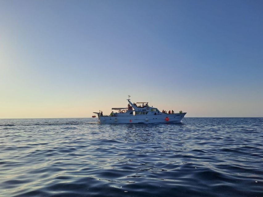Umag: Sunset Cruise with Dolphin Spotting - Savudrija lighthouse and the northern coast