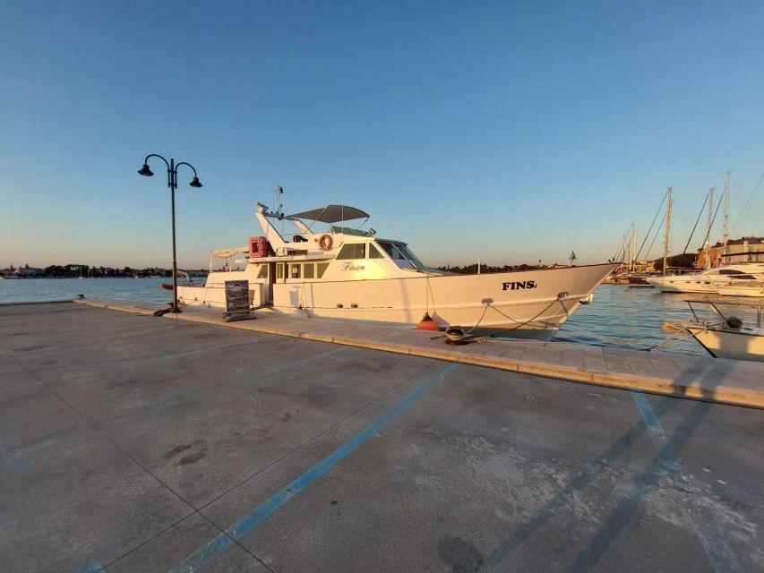 Umag: Sunset Cruise with Dolphin Spotting - Timing, weather, and comfort