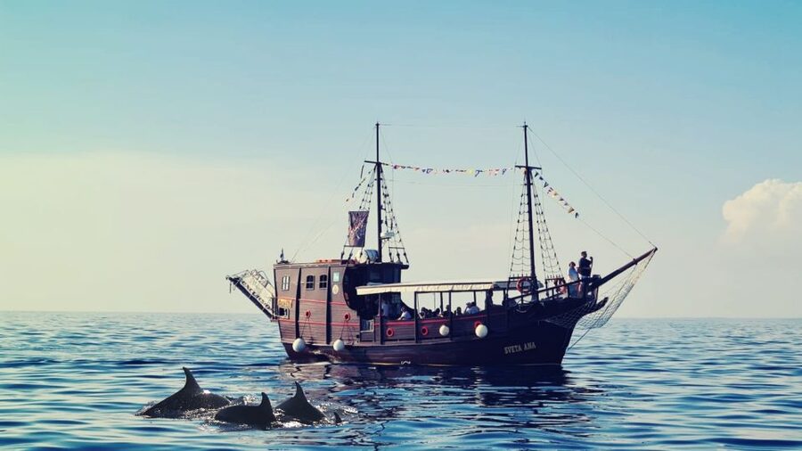 Vrsar: Dolphin Watching Boat Ride - How Much Value You Get for $29