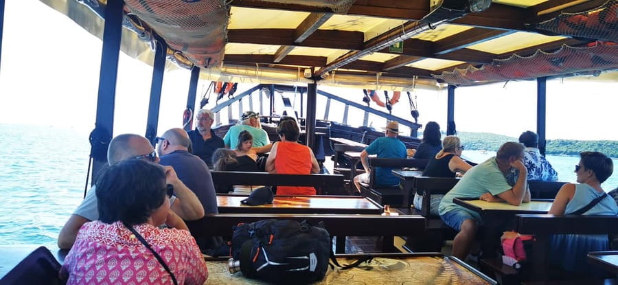 Vrsar: Dolphin Watching Boat Ride - Practical Tips Before You Go