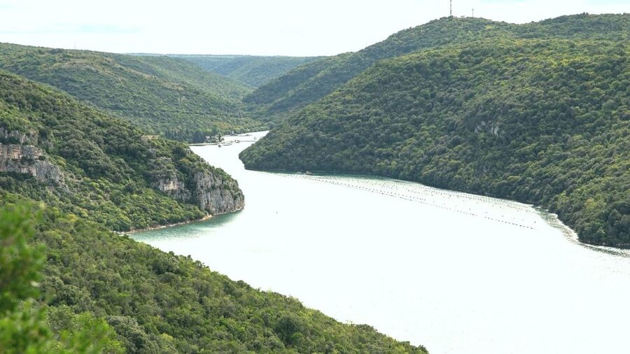 Vrsar: Lim Fjord Boat Tour with Swimming near Pirate's Cave - Why the return ride may be the best surprise