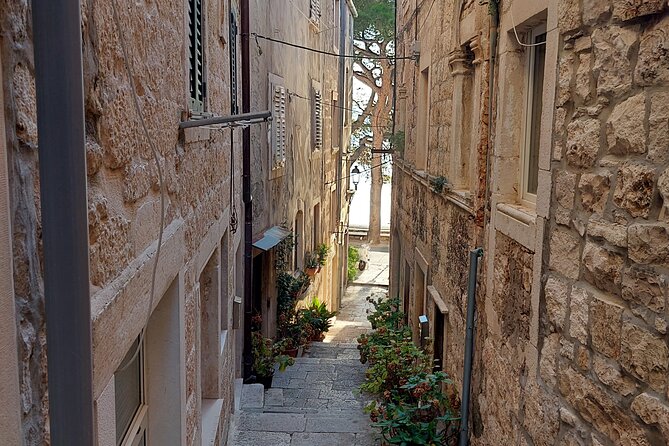 Walking Tour in old town Korcula 1 Hour - What one hour really gives you