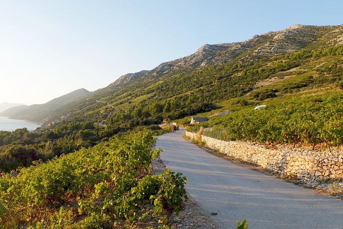 Wine Lover's Tour of Peljesac Peninsula - Pickup in Dubrovnik and the road to Ston
