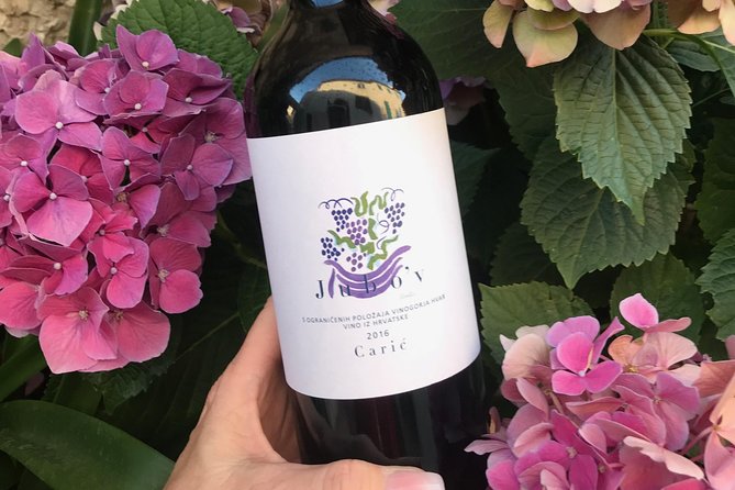 Wine Lovers tour from Hvar - Vrisnik and Jo Ahearne’s modern island approach