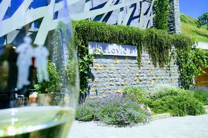 Wine & more Tour , private guided wine tour from POREC, UMAG ,Istria - Why this Istrian wine day works