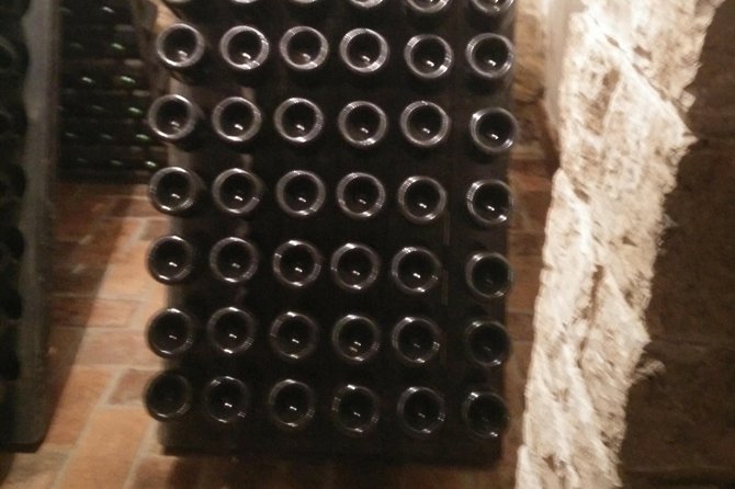 Wine & more Tour , private guided wine tour from POREC, UMAG ,Istria - Price, group size, and overall value