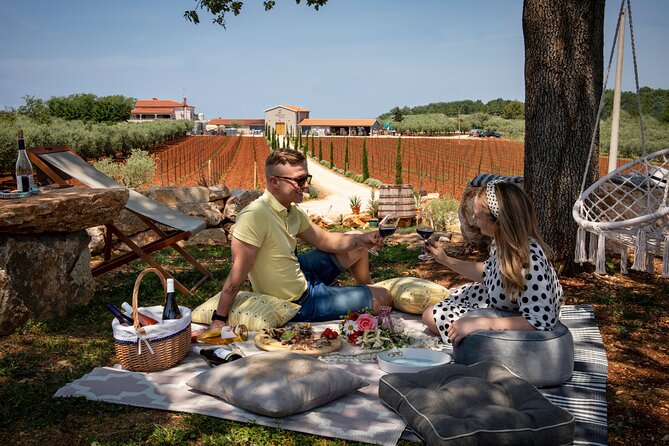 Wine picnic - Key points to know before booking