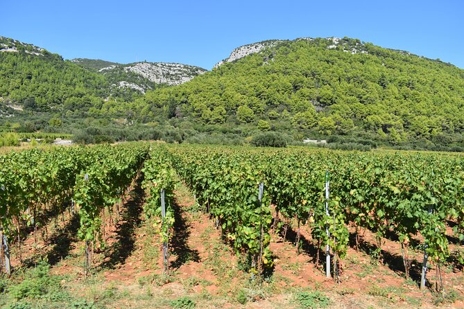 Wine & Sightseeing Tour Korcula - Key points to know before booking