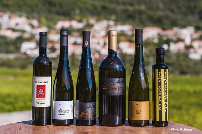 Wine & Sightseeing Tour Korcula - Who will enjoy this Korčula outing most?