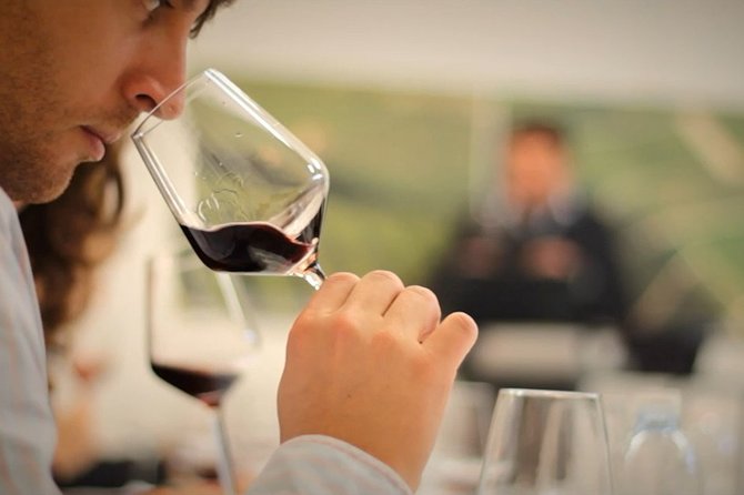 Wine Tasting Experience at the organic winery in Šišan - What the Istrian soil contributes