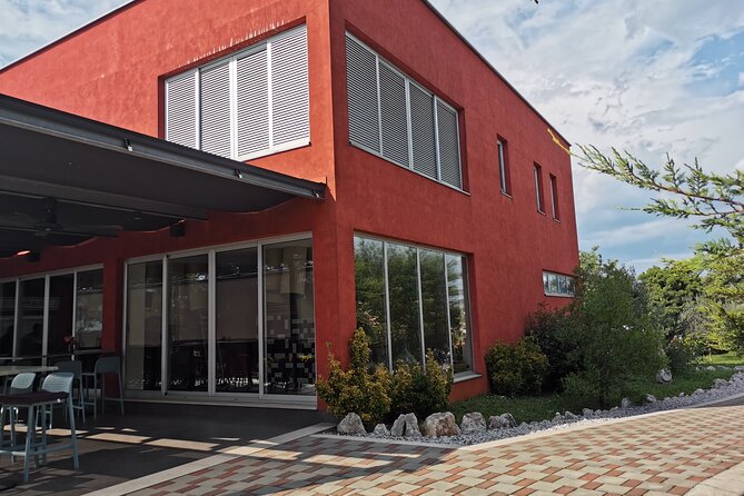 Wine Tasting Experience at the organic winery in Šišan - Is $62.05 per person fair?