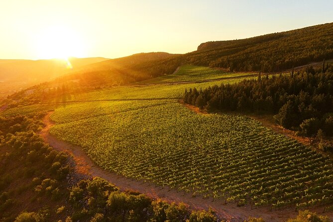 Wine Tasting Grabovac Tour From Makarska - Transport comfort matters in summer