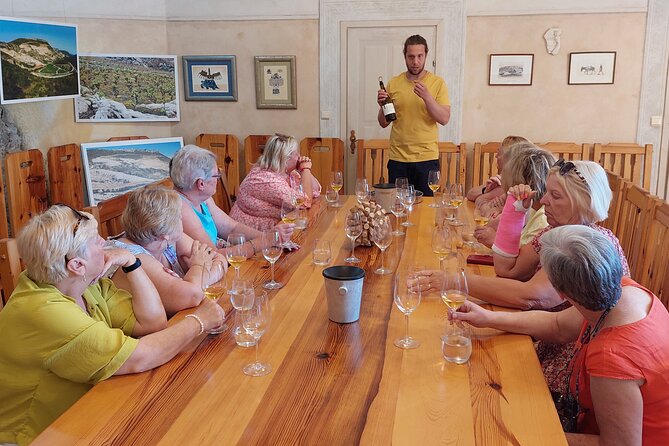 Wine tour Peljesac - Lunch: the extra cost that can improve the day