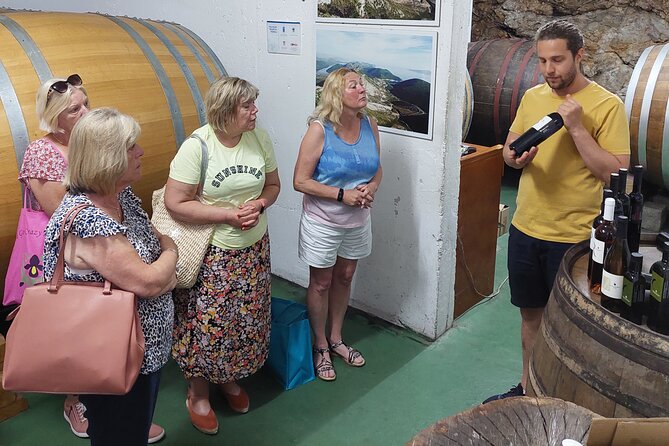 Wine tour Peljesac - Timing, pickup, and practical planning