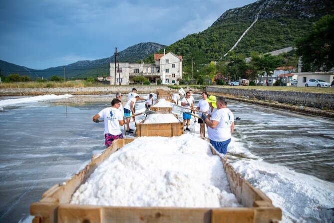 Wine tour peninsula Pelješac - Ston Old Town: a compact historic stop