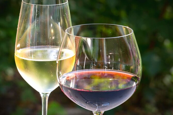 Wine tour peninsula Pelješac - Timing, pickup, and practical details