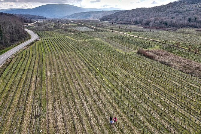 Winery Tour and Tasting with the Sommelier in KRK - Key points to know before booking