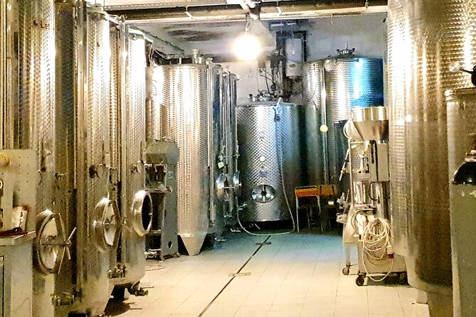 Winery Tour and Tasting with the Sommelier in KRK - Who will enjoy this Krk wine tour?