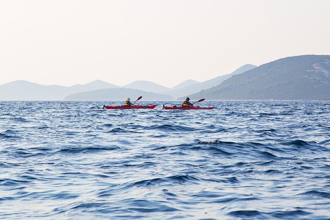 Zadar Archipelago 3 Islands Sea Kayaking Day Trip - Paddling among uninhabited islands