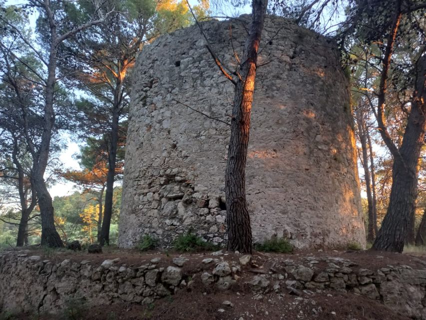 Zadar: Boat tour Half day -Private - Who should book this half-day outing