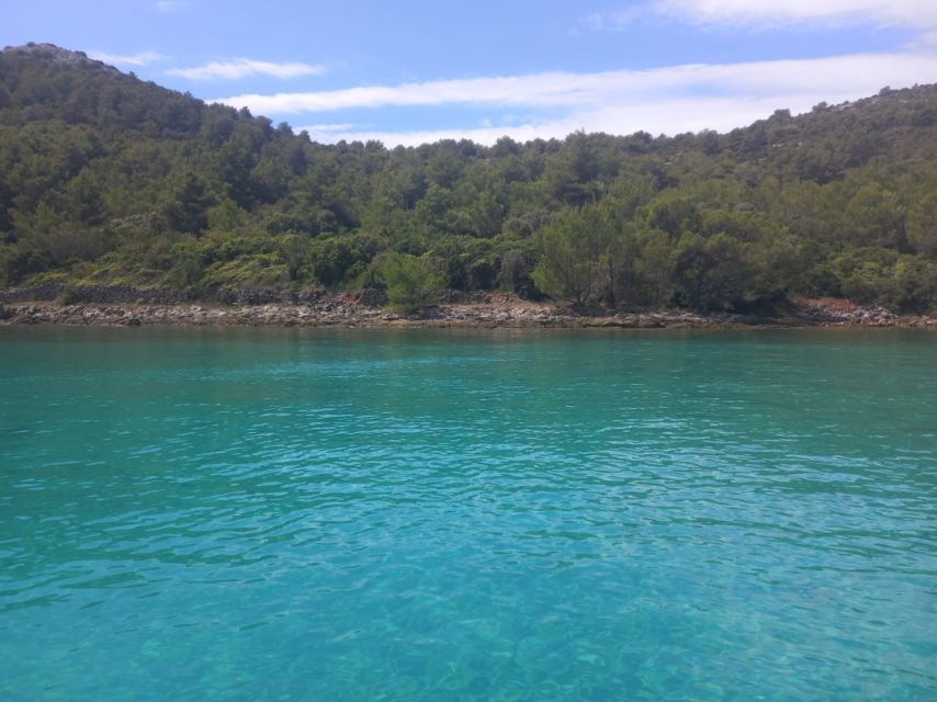 Zadar: Boat tour Half day -Private - Price, comfort, and what you receive