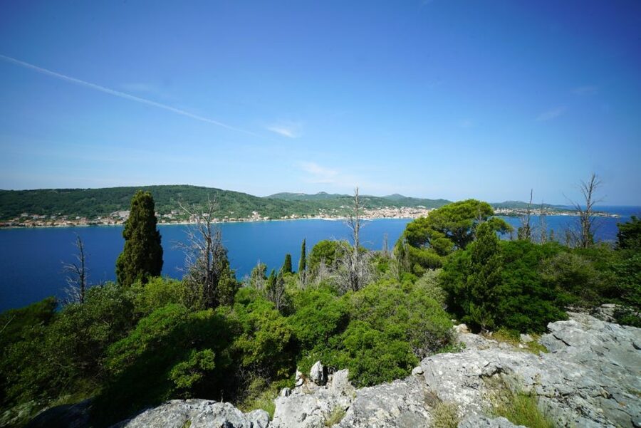 Zadar: Guided Tour to Ugljan, Osljak, & Galevac by Speedboat - My verdict: a smart half-day from Zadar