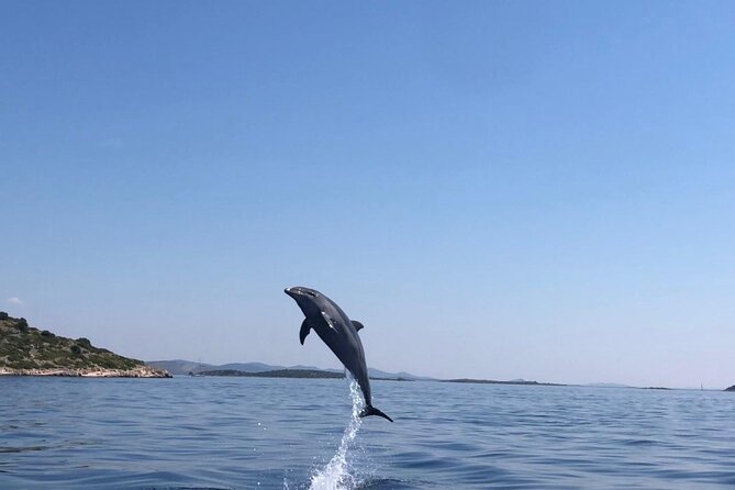 Zadar: Island Luxury Speedboat Tour with Snorkeling - Timing, comfort, and what to bring