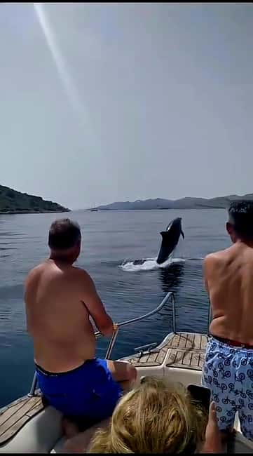 Zadar: Islands & Lagoons Tour with Drinks and ECO fruits... - Key points to know before booking