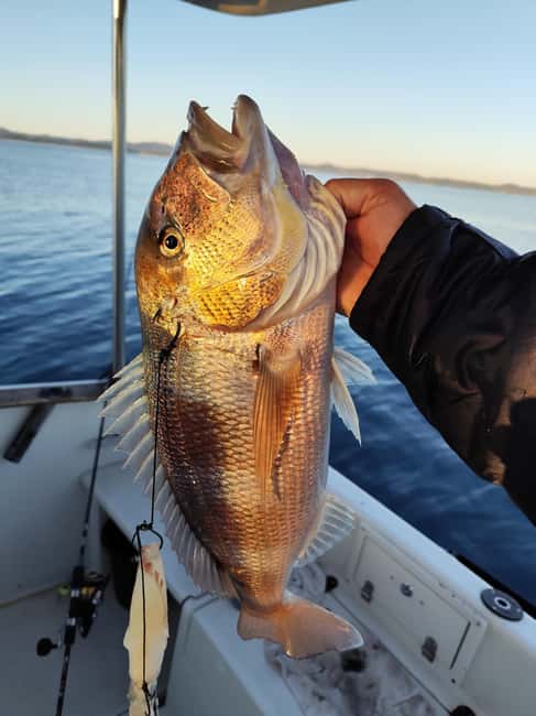 Zadar: Sunset Fishing Half-Day Guided Boat Trip - Who will enjoy this trip most