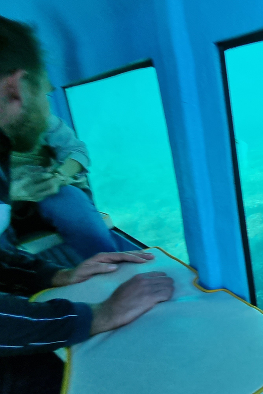 Zadar: Yellow Semi-Submarine Underwater Exploration Tour - What happens during the 45-minute cruise